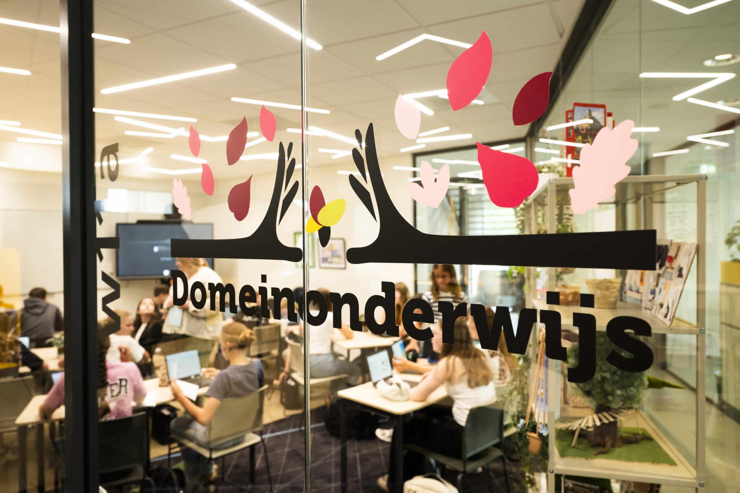 Informatie over ons Domeinonderwijs